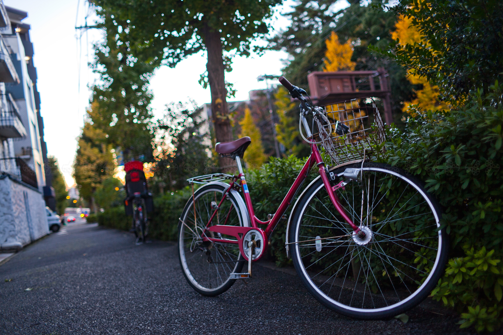 まだ終われない秋