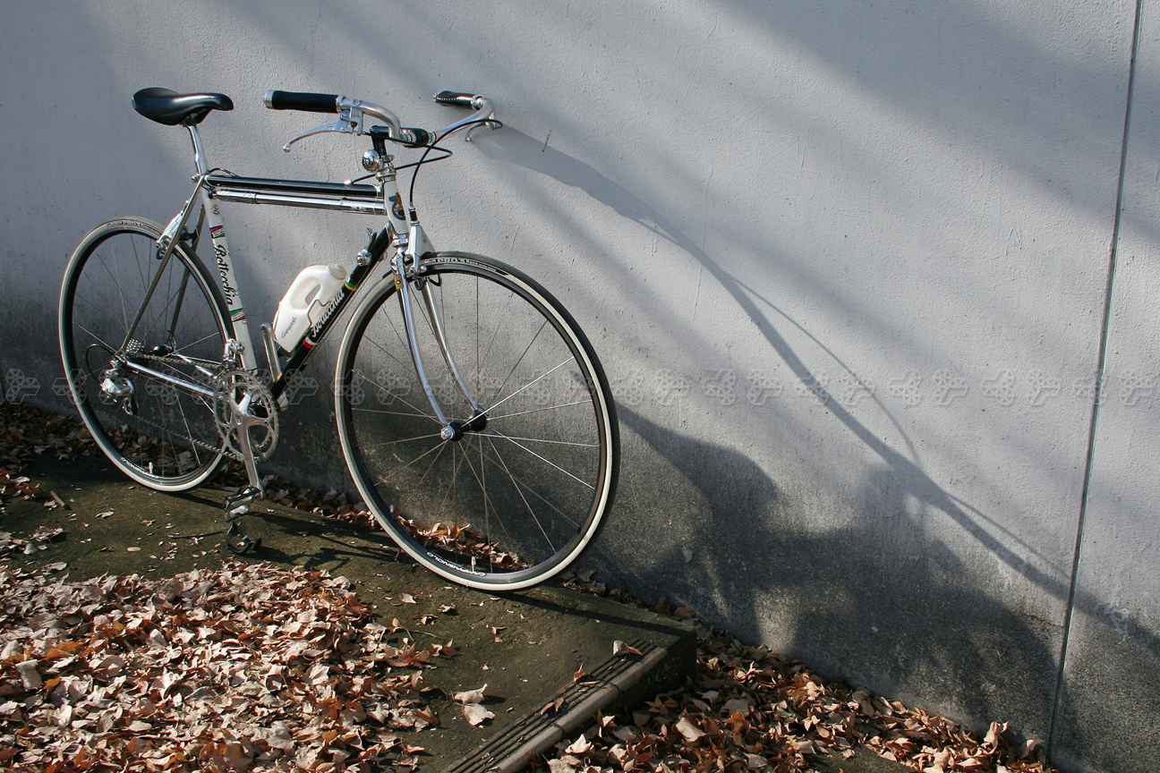 bottecchia north road 03