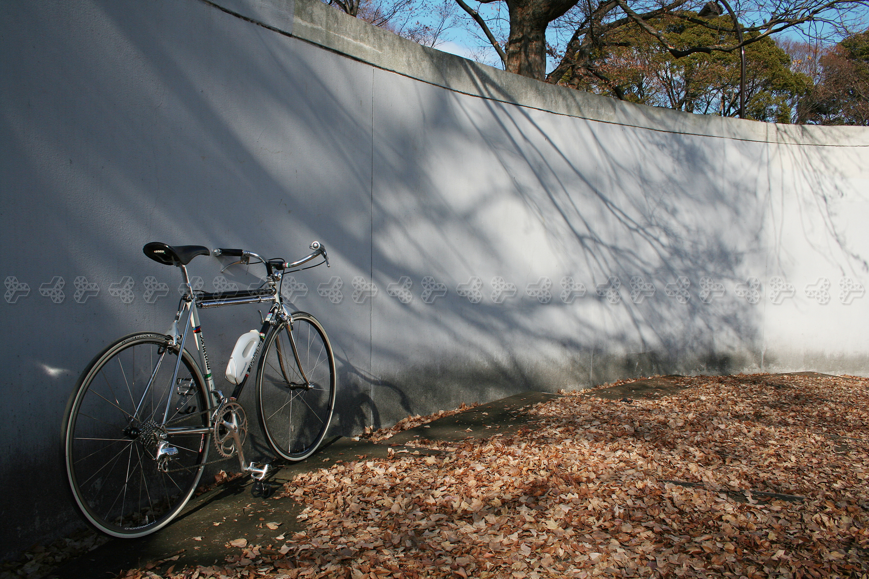 bottecchia north road 05