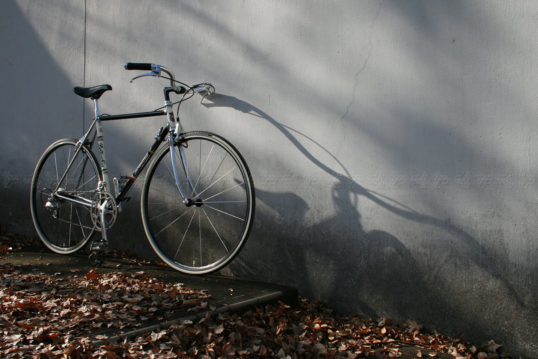 bottecchia north road bars