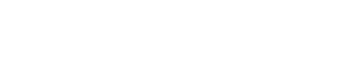 Bottecchia logo