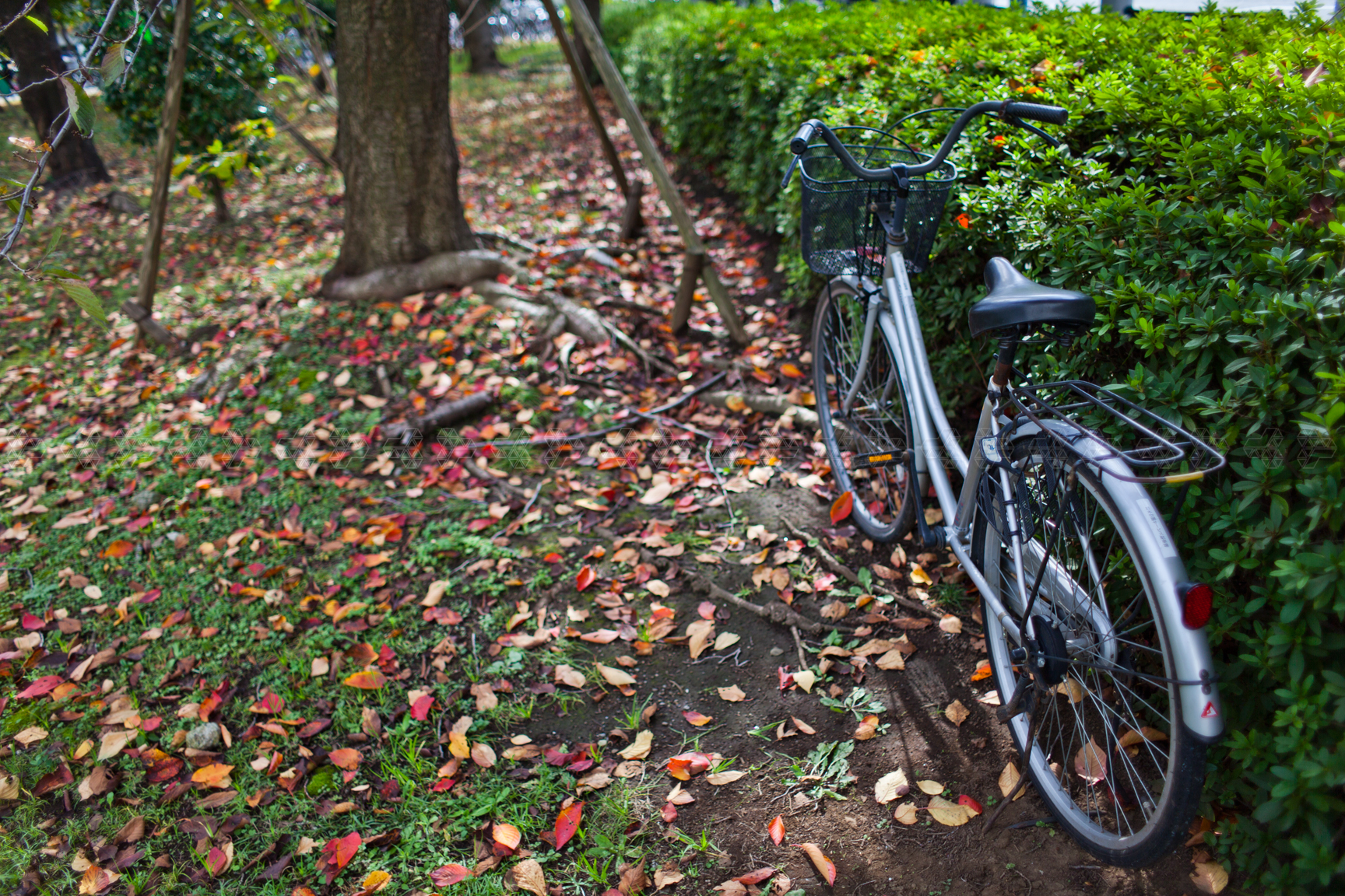 colore complementare