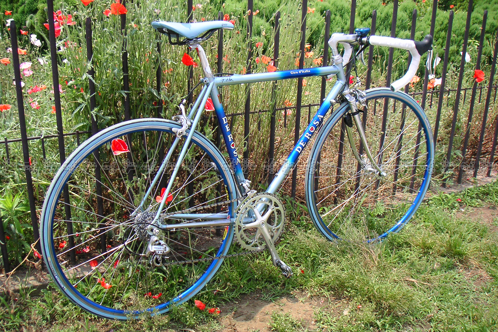 DE ROSA Giro d'Italia