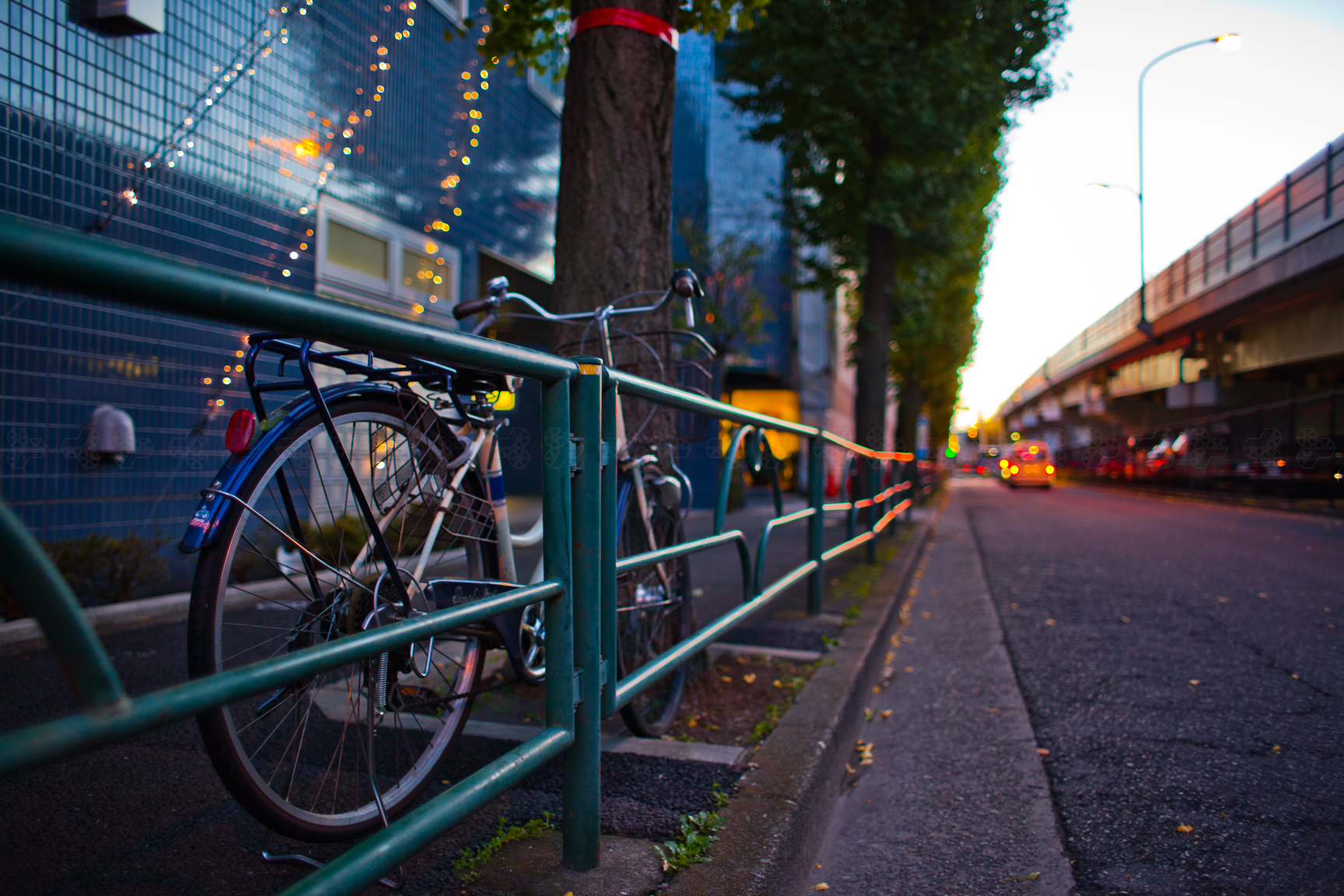 Starlight,Moonshadow