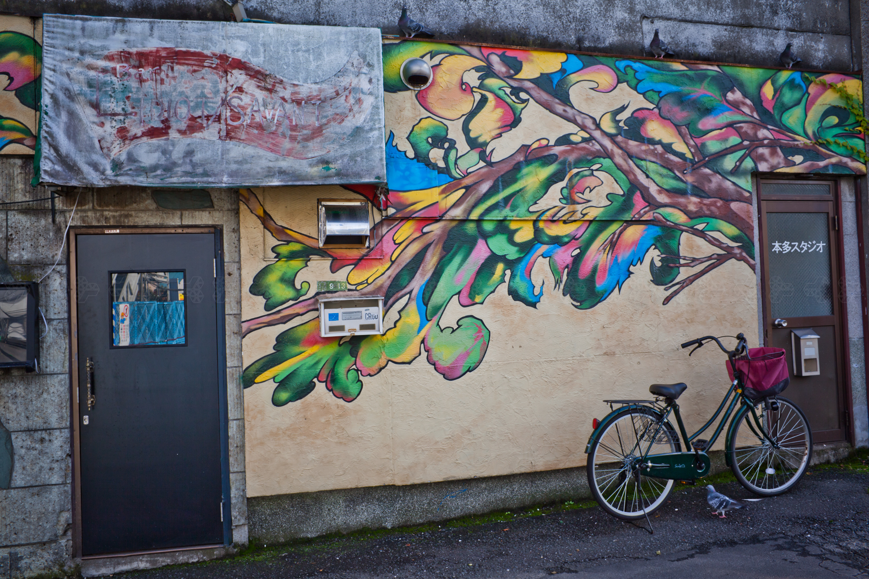 もしかして美しい？