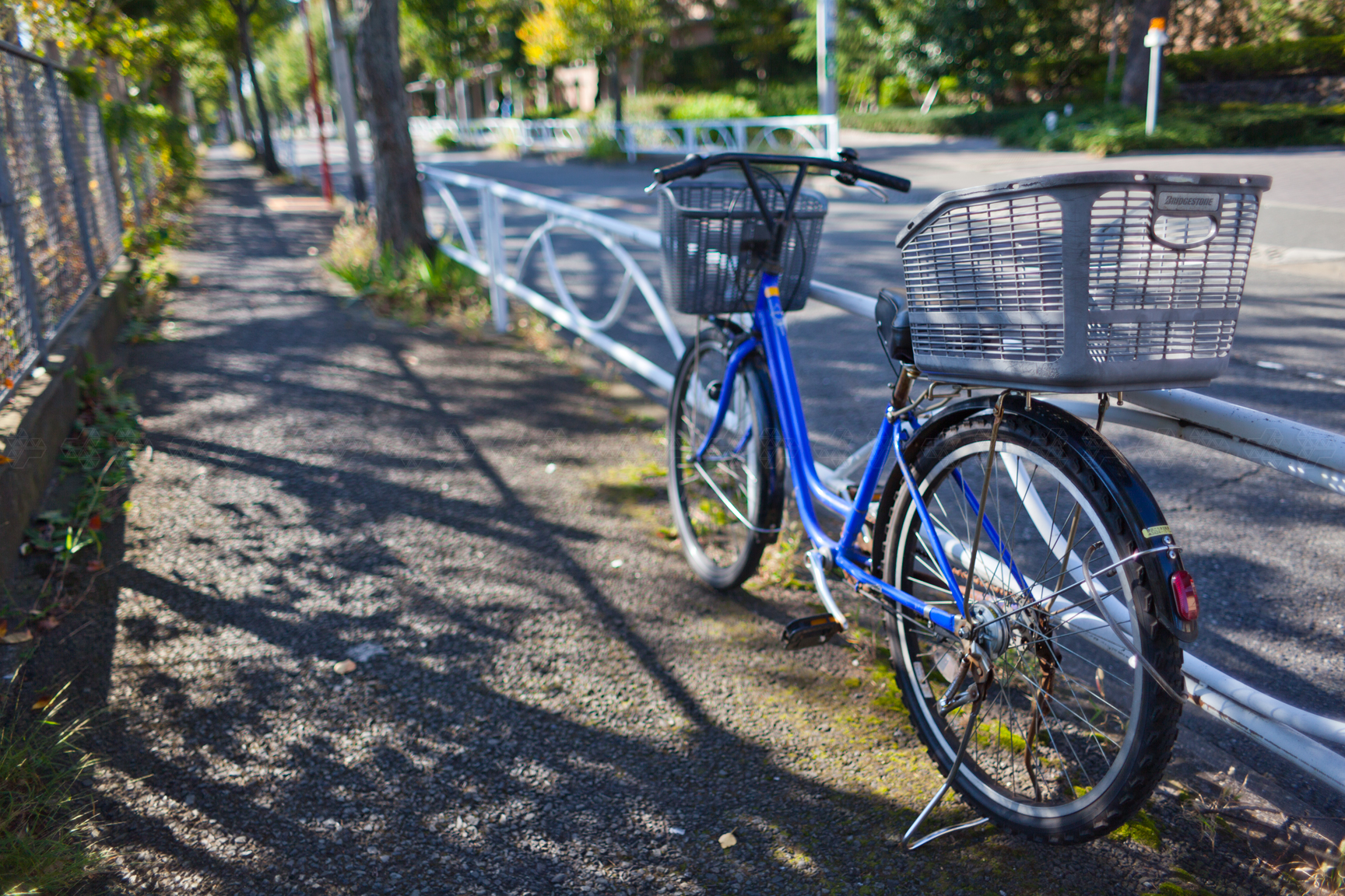 Giallo-verde autunno