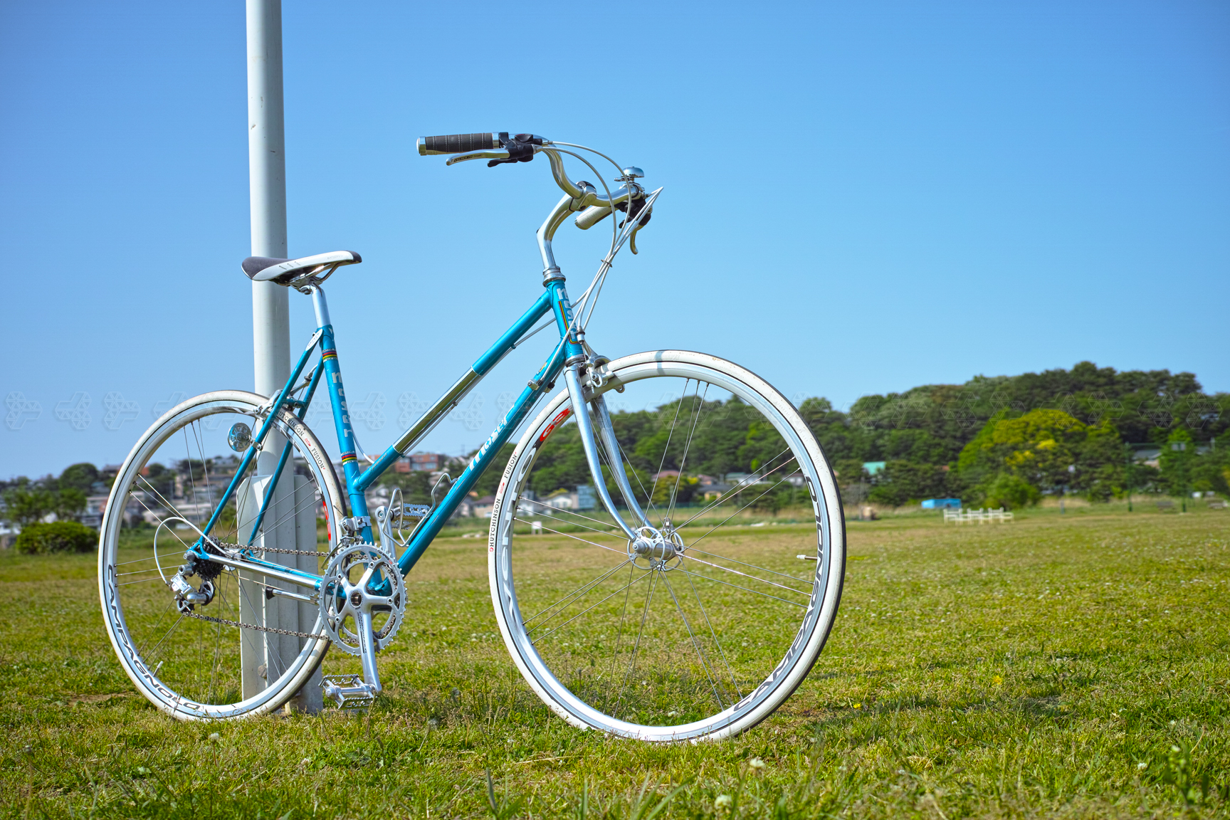 Moser GANZARD baseball stadium