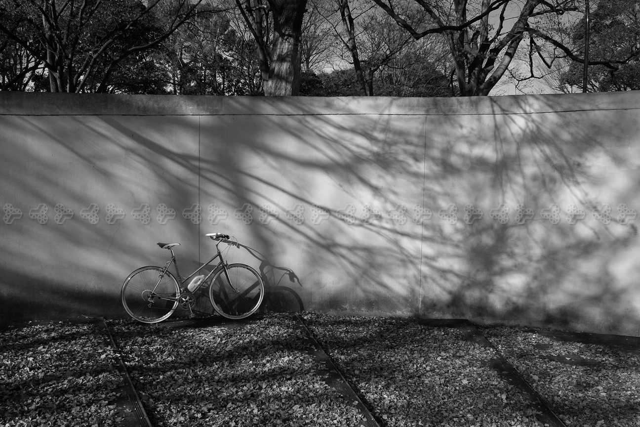 Moser GANZARD branch