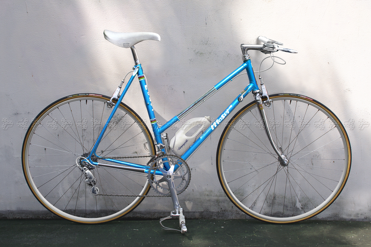 Moser GANZARD Synthotic