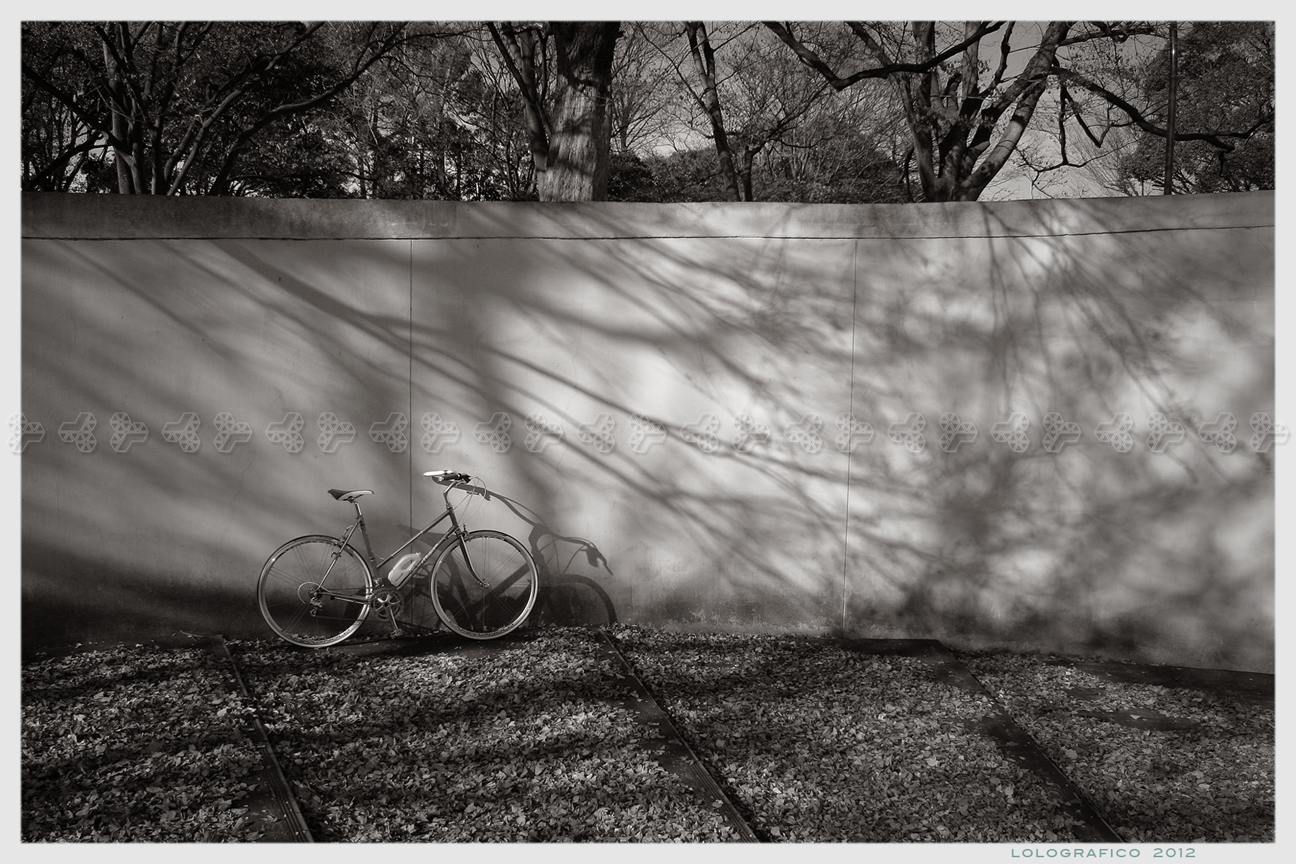 Moser GANZARD monochrome