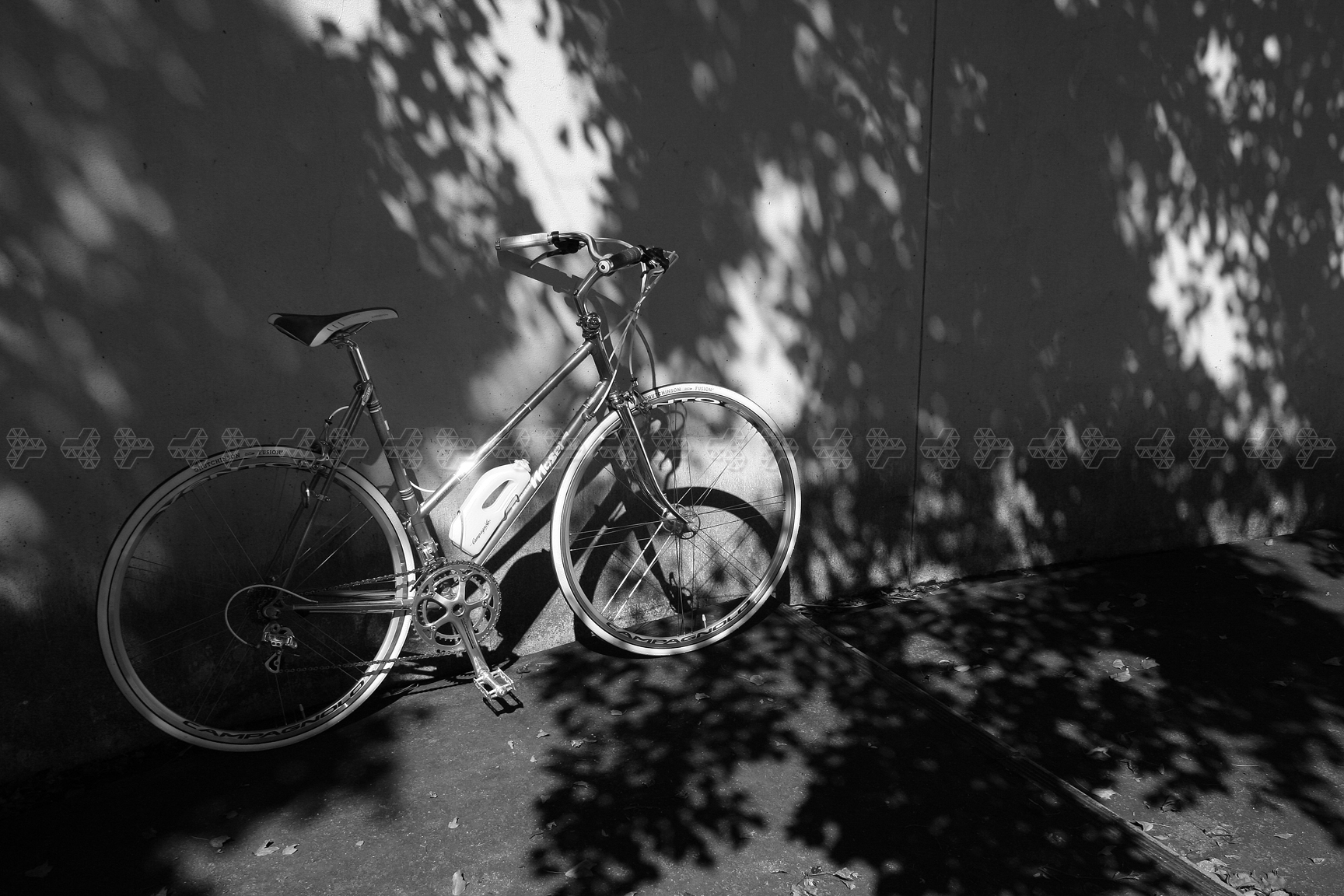 Moser GANZARD shadow