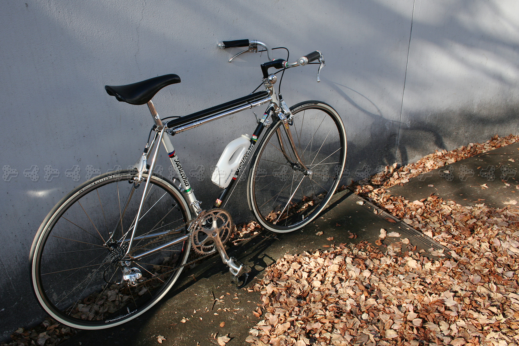 bottecchia north road 02