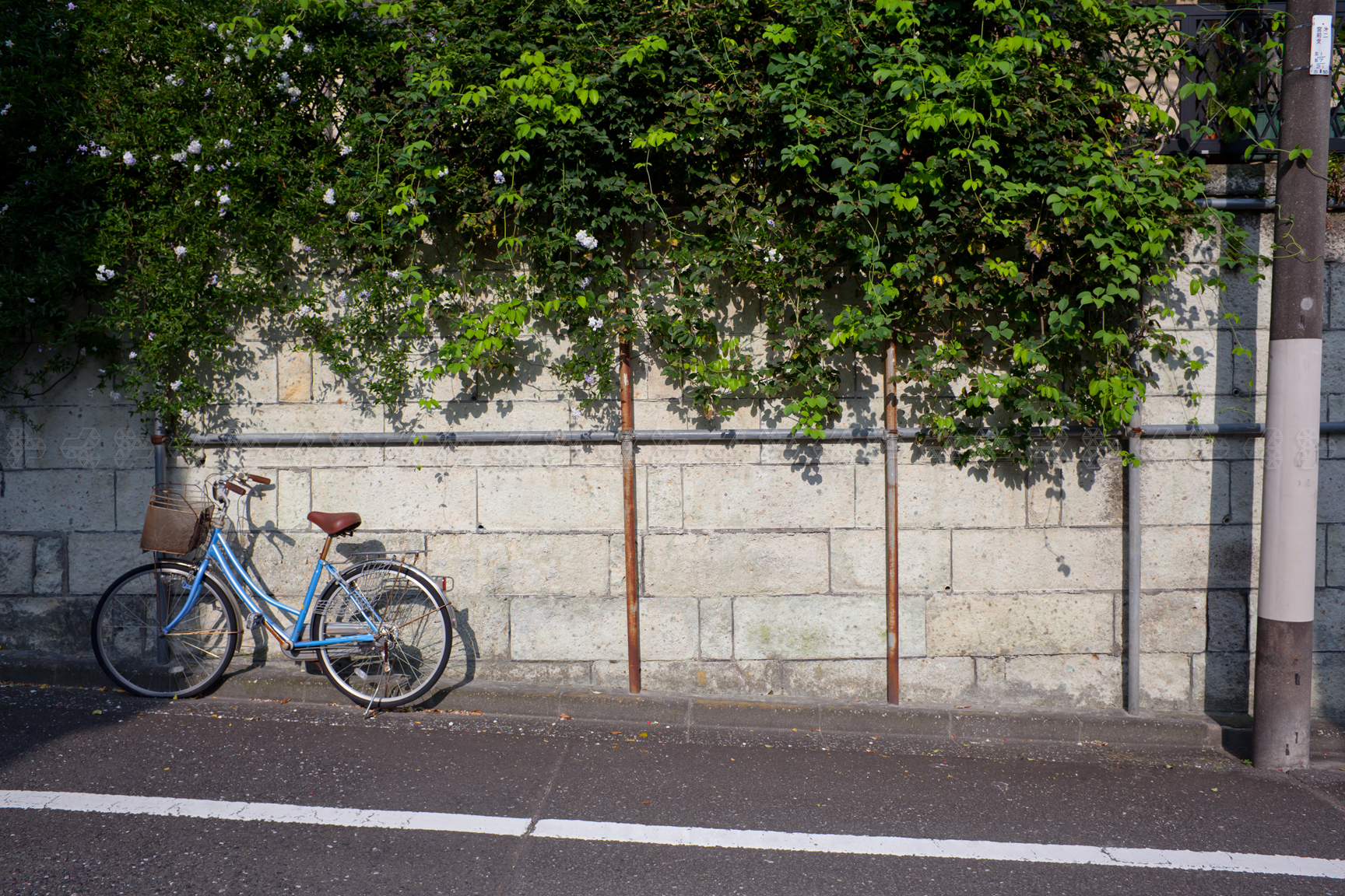 Orizzontale e verticale