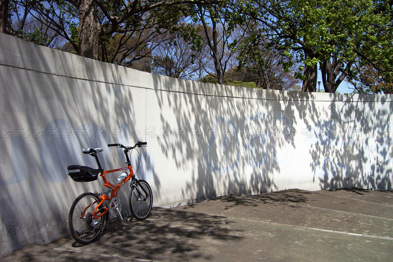 Tartaruga Type SPORT