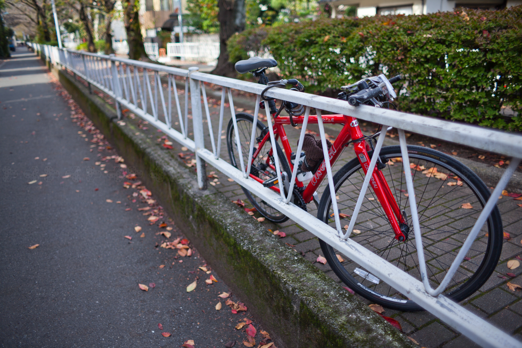 LOUIS GARNEAU LGS-TR Lite E