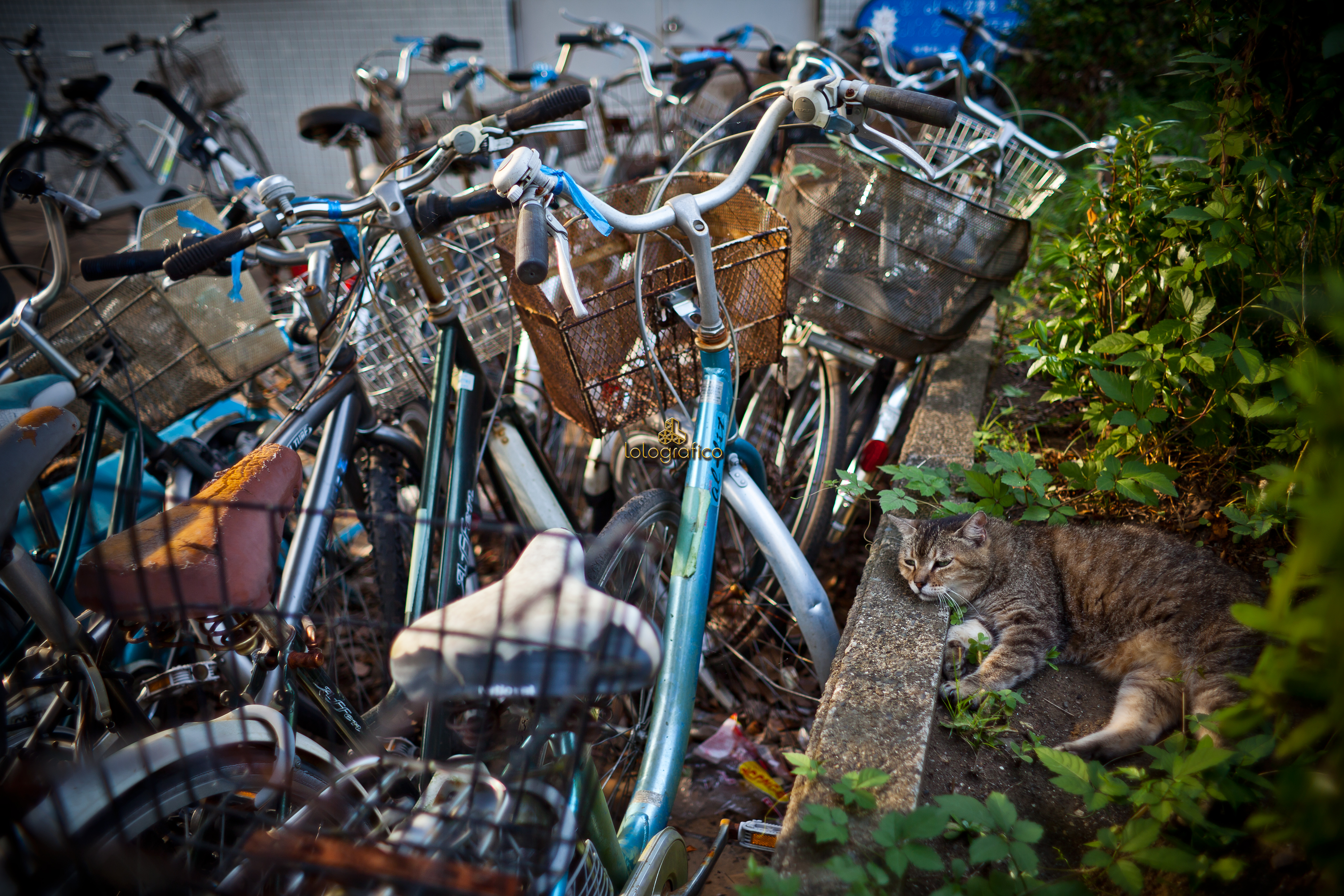 天国と地獄／アンニュイ