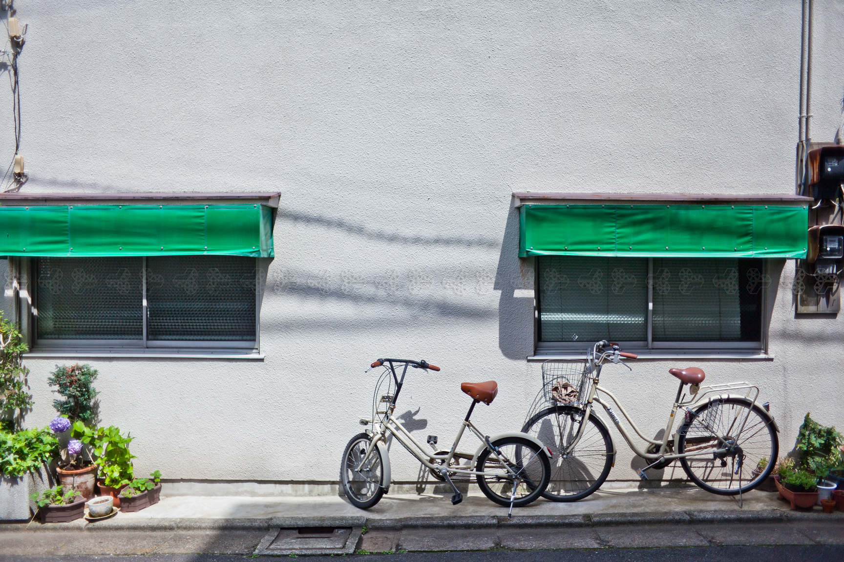 Bidimensionale Tridimensionale