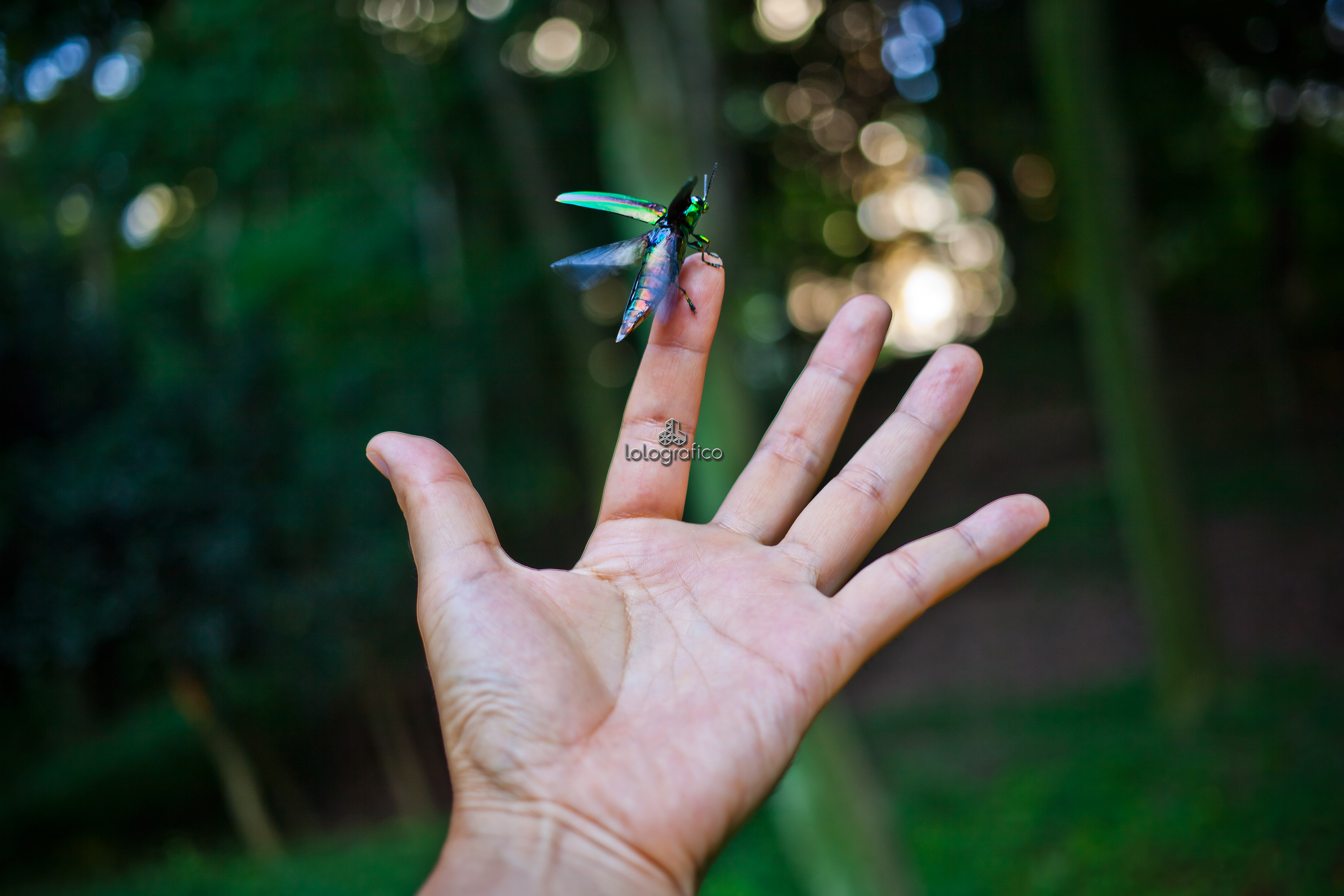 一瞬の、一期一会。