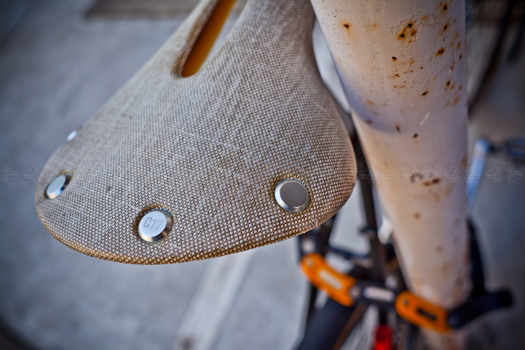 BROOKS CAMBIUM C17 CARVED