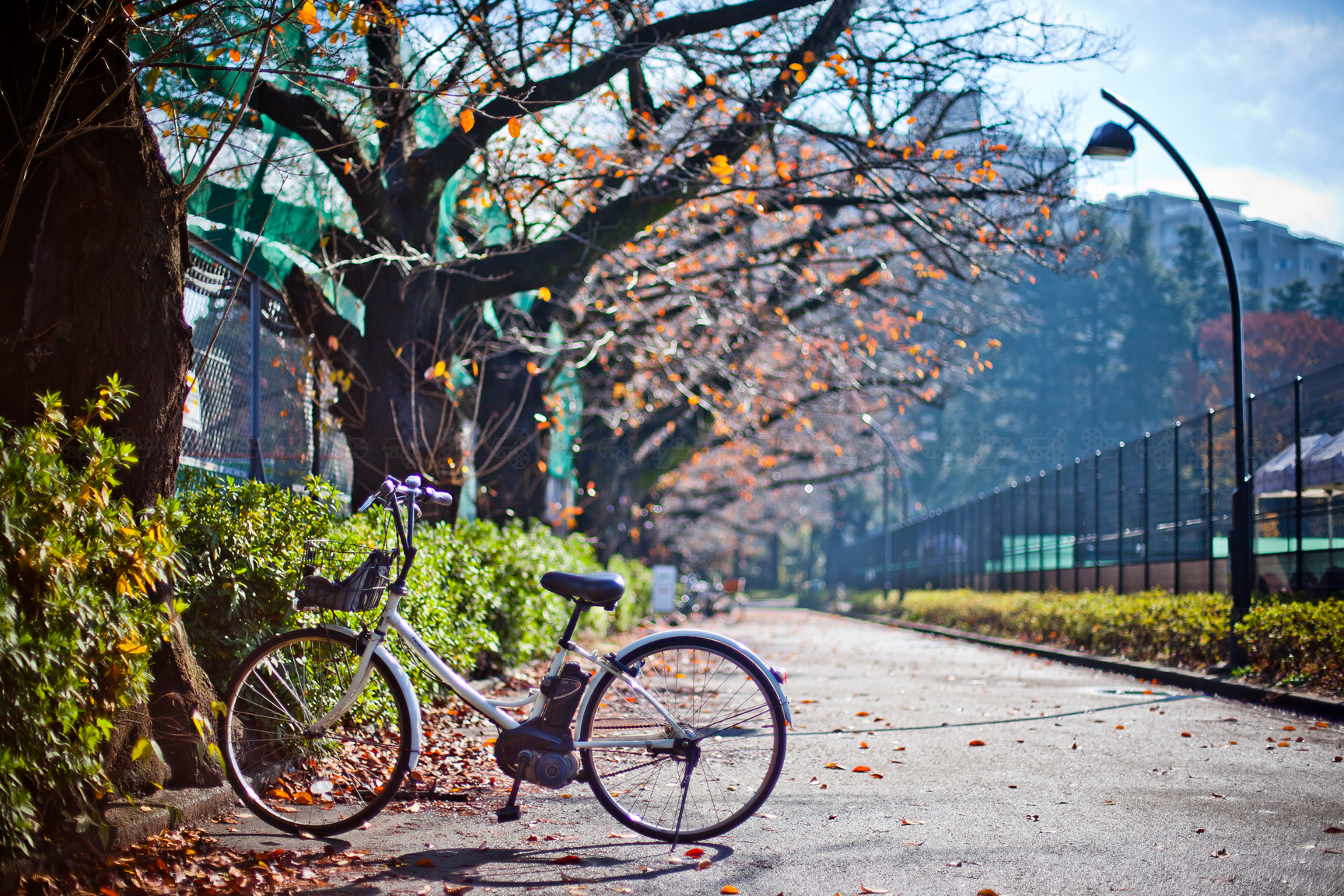 capacità di riserva