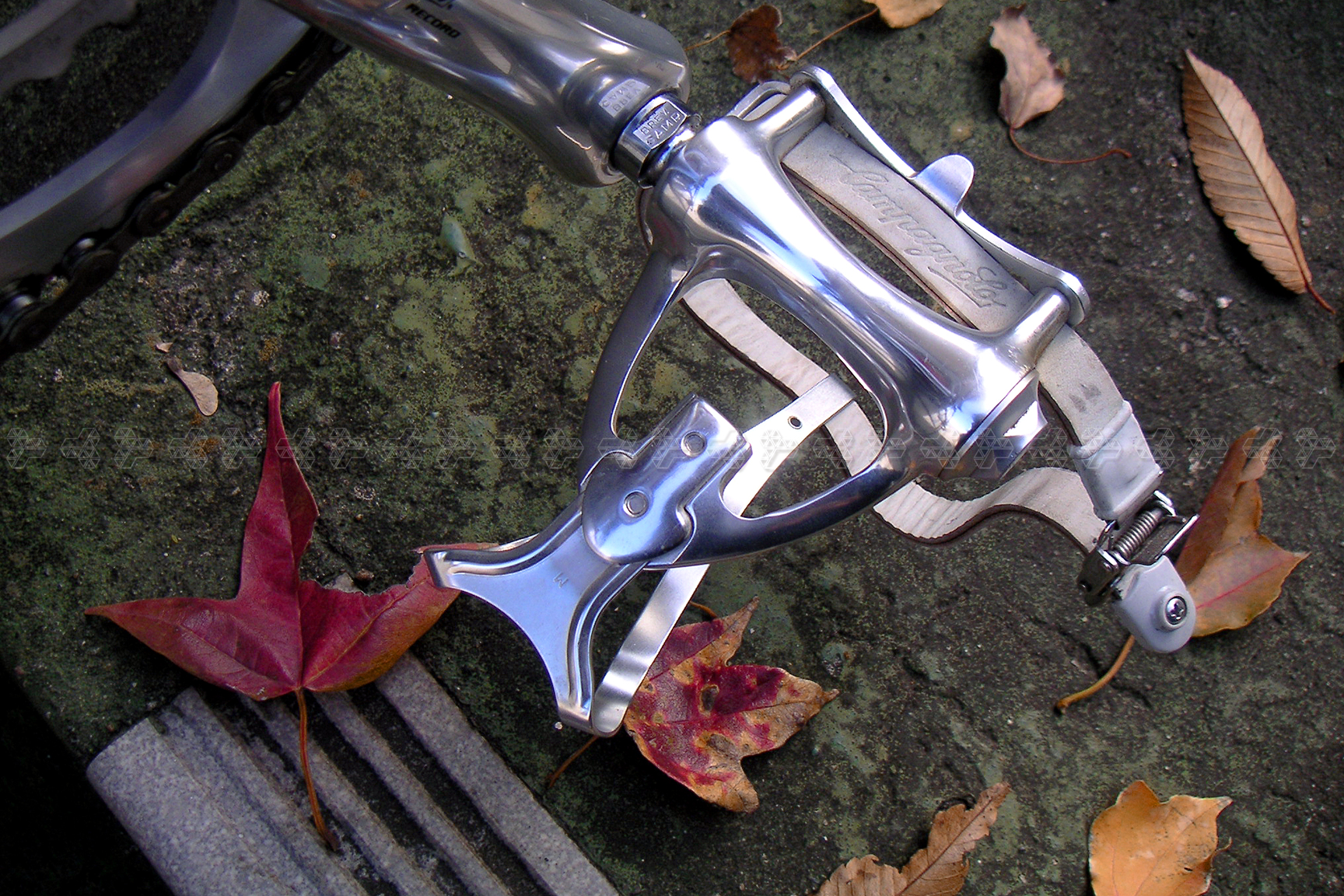 行き先は靴が決める。Campagnolo Corsa-Record Pedali