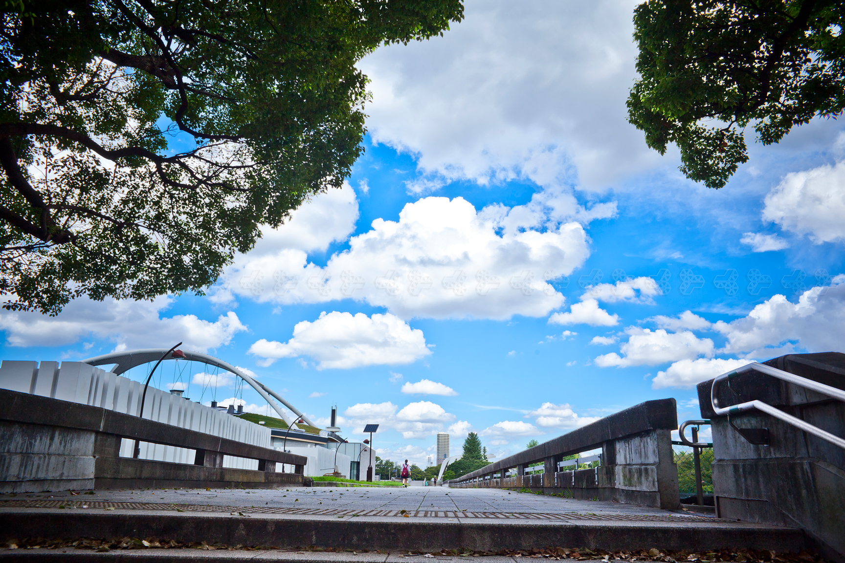 現在の駒沢公園