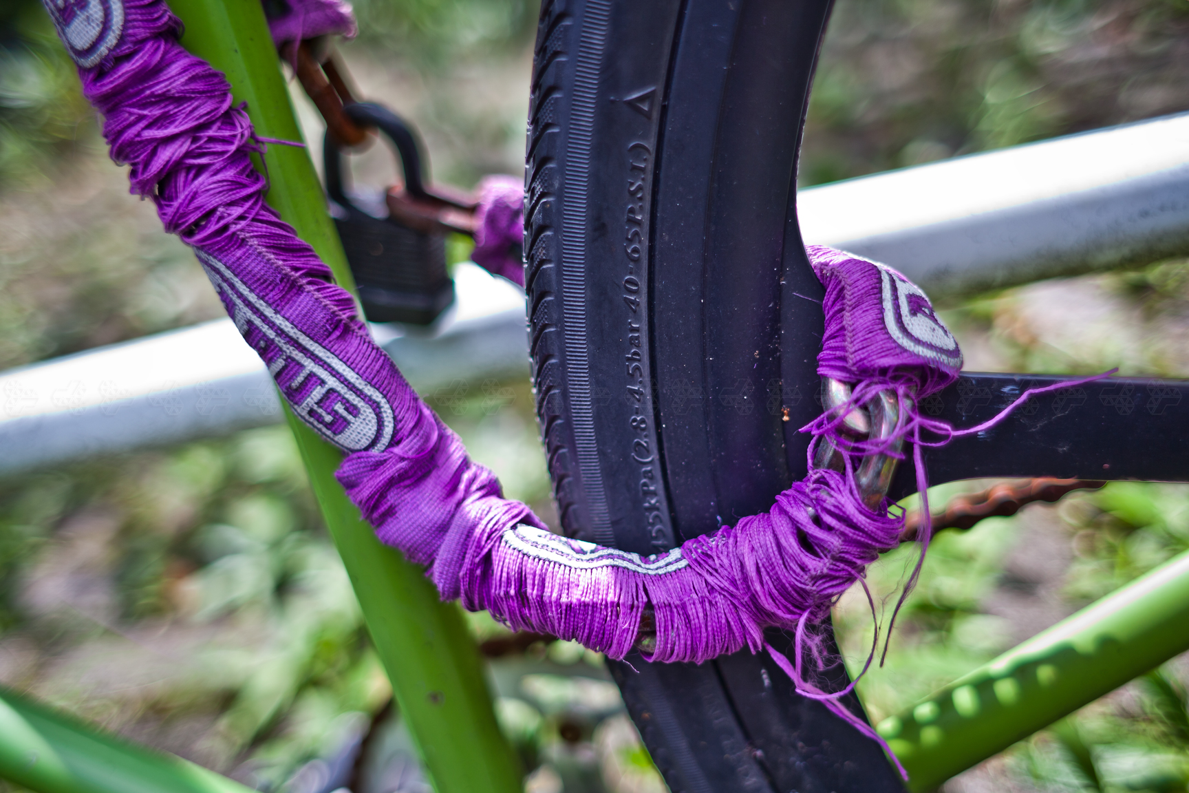 drago di fuoco viola