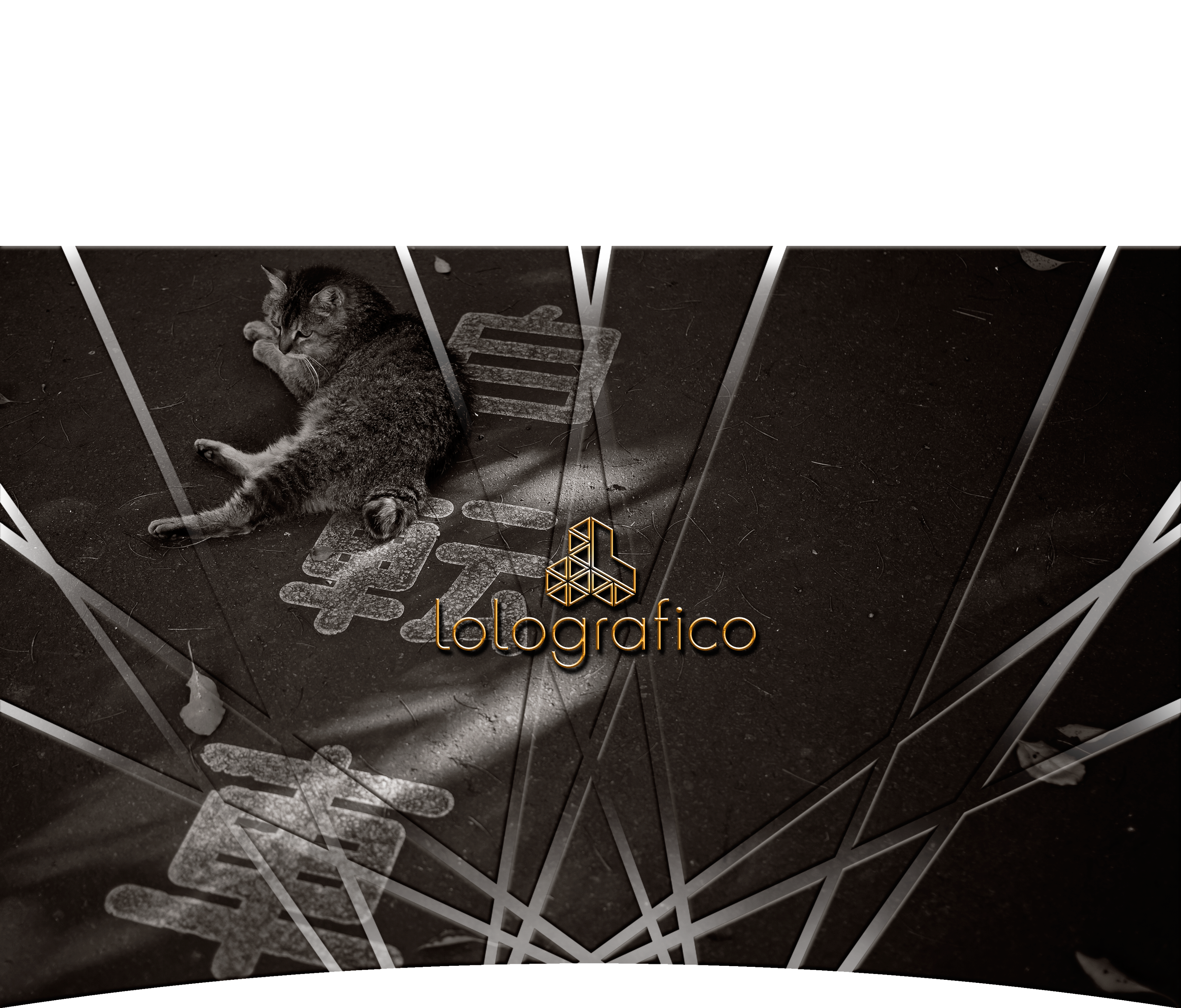 Gatta e bicicletta / Cat and bicycle / top