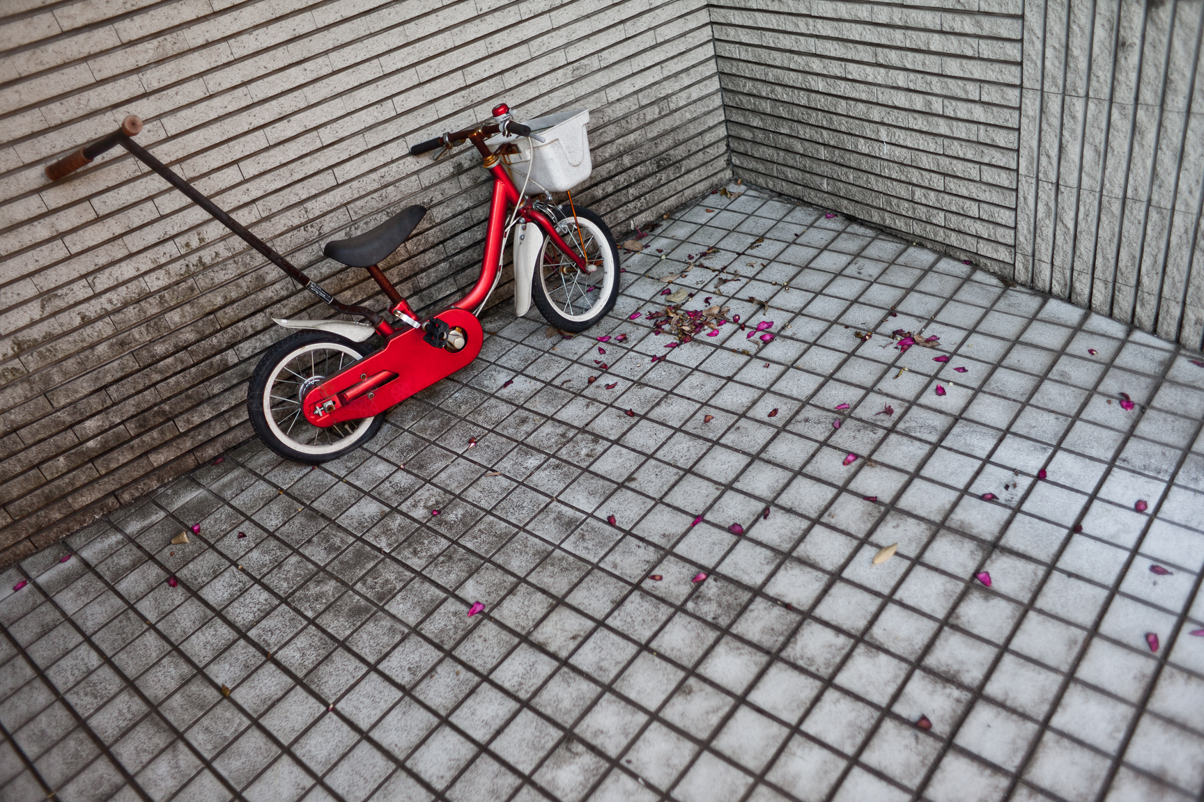 Giocattoli per Bambini