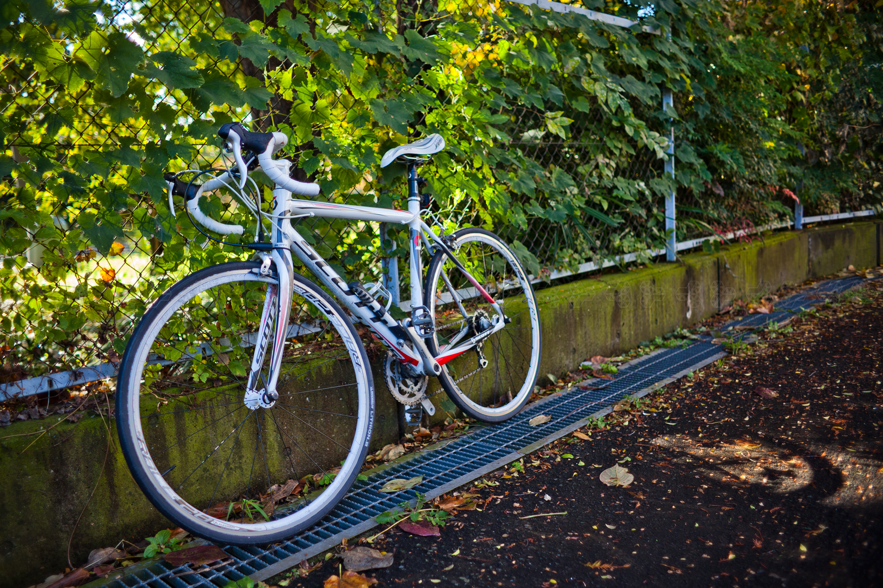 Ieri abbiamo avuto neve