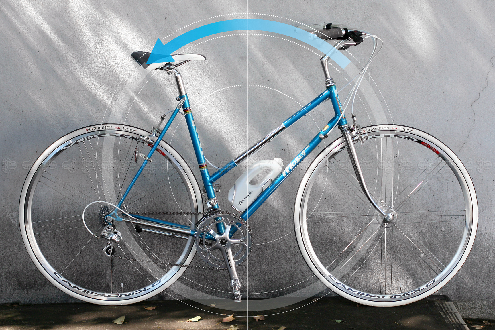 Moser orbita circolare