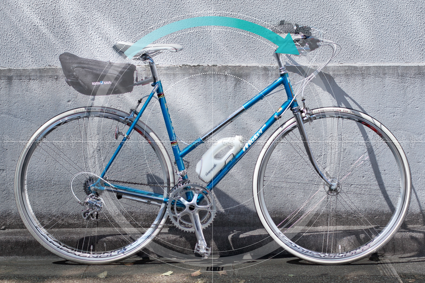 Moser orbita circolare