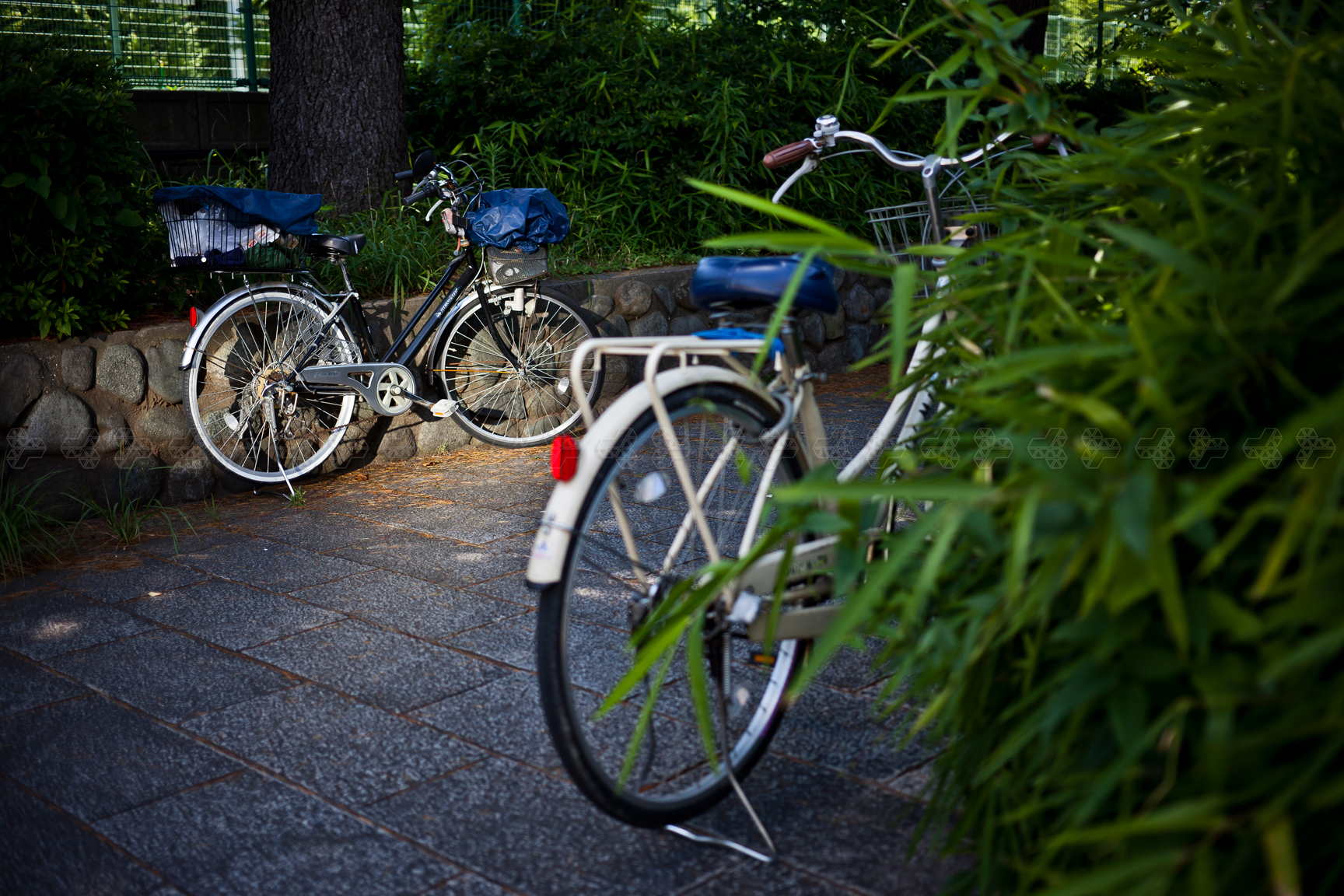 二子玉川はフタコ