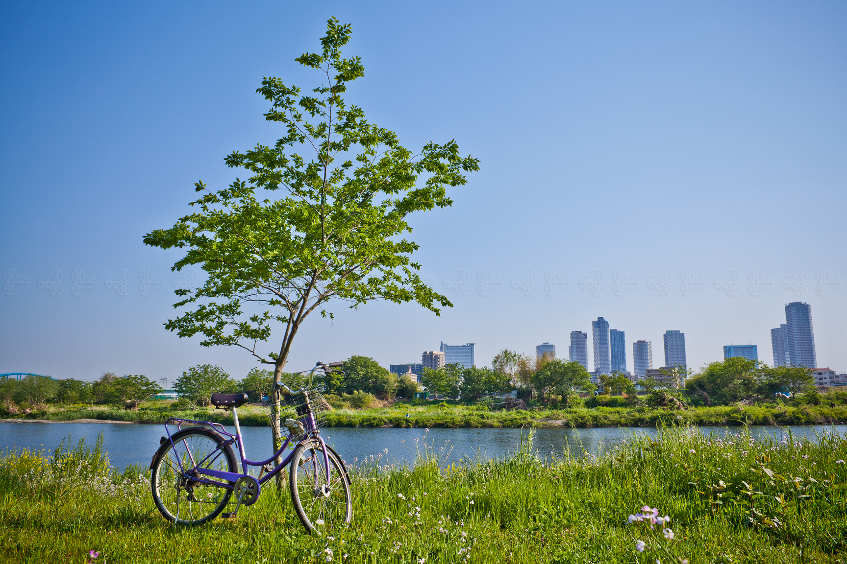 絵葉書のようなヴィジュアル