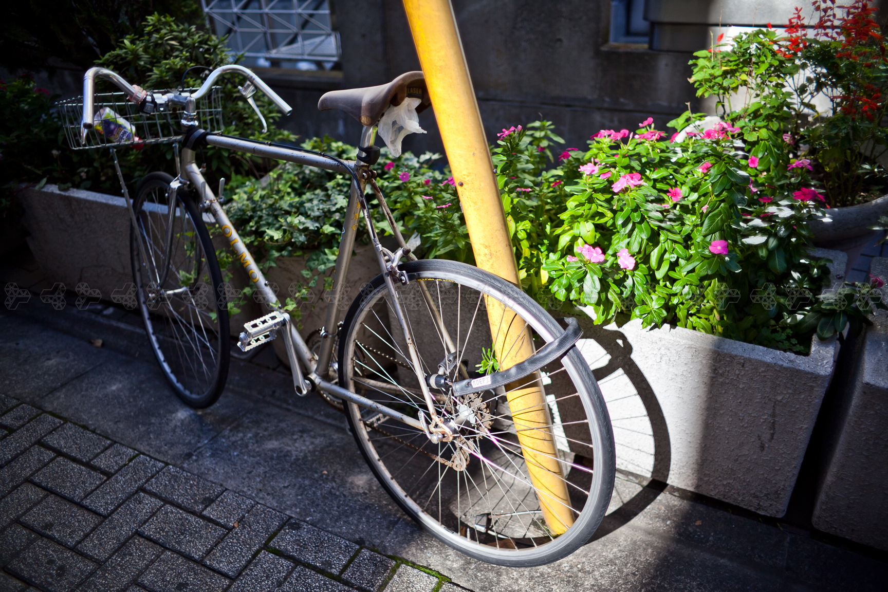 biciclettissima olmo