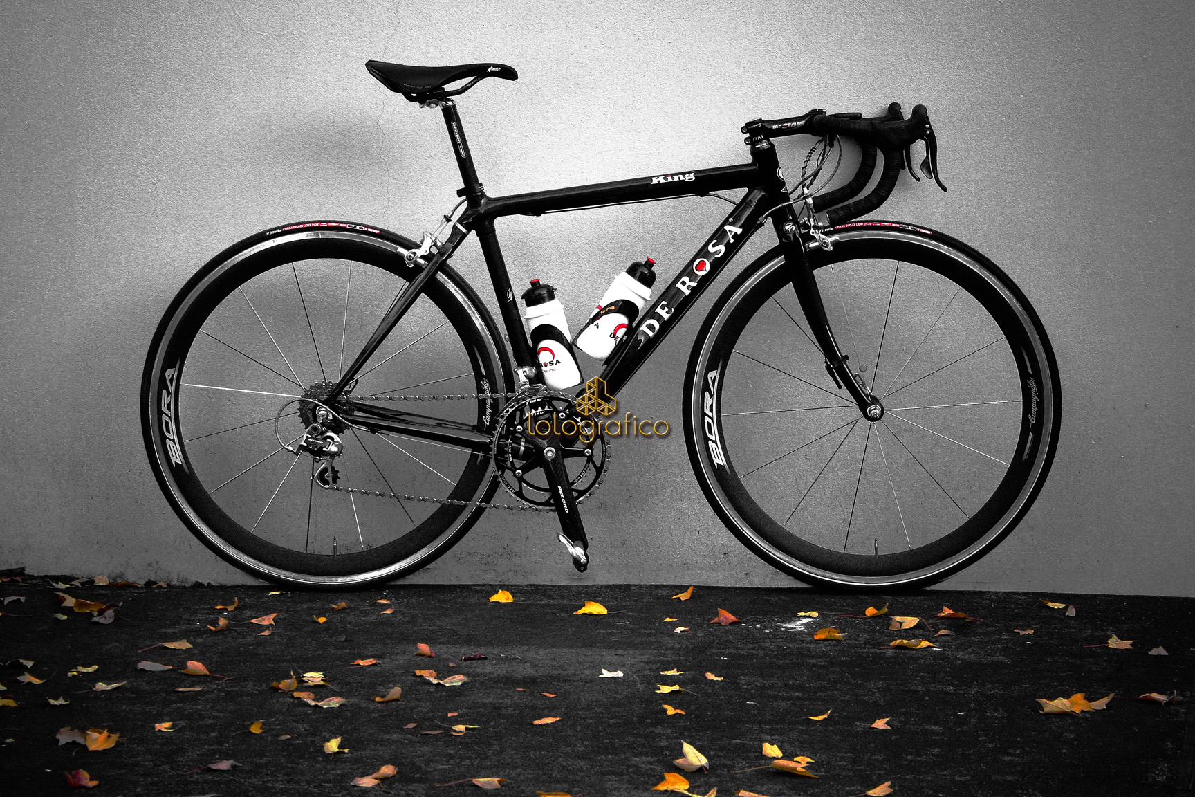 ノコギリクワガタ